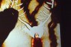 2016 :: Live sand art :: play, Paris