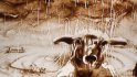 2012 :: Sand Art, Live Performances about animals, Paris