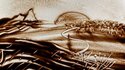 2009 - Dessin sur sable avec concert symphonique, Auditorium Lyon