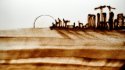 2010 - Live sand drawing show, Abu Dhabi