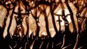 Live sand drawing performance during Opera, Festival Messiaen