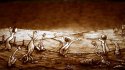 2010 - Sand animation film "Rezign"