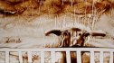 2012 :: Sand Art, Live Performances about animals, Paris