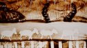 2012 :: Sand Art, Live Performances about animals, Paris