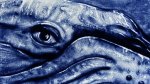 Bleu Nuit : : Film de dessin sur sable {JPEG}