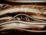 2006 - Dessin sur sable en direct