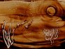 2009 - Dessin sur sable pour concert, Macao